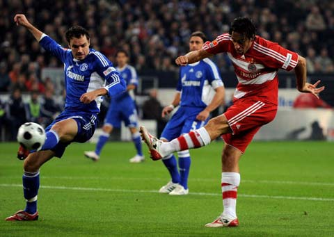 权保护等重 权保护等重